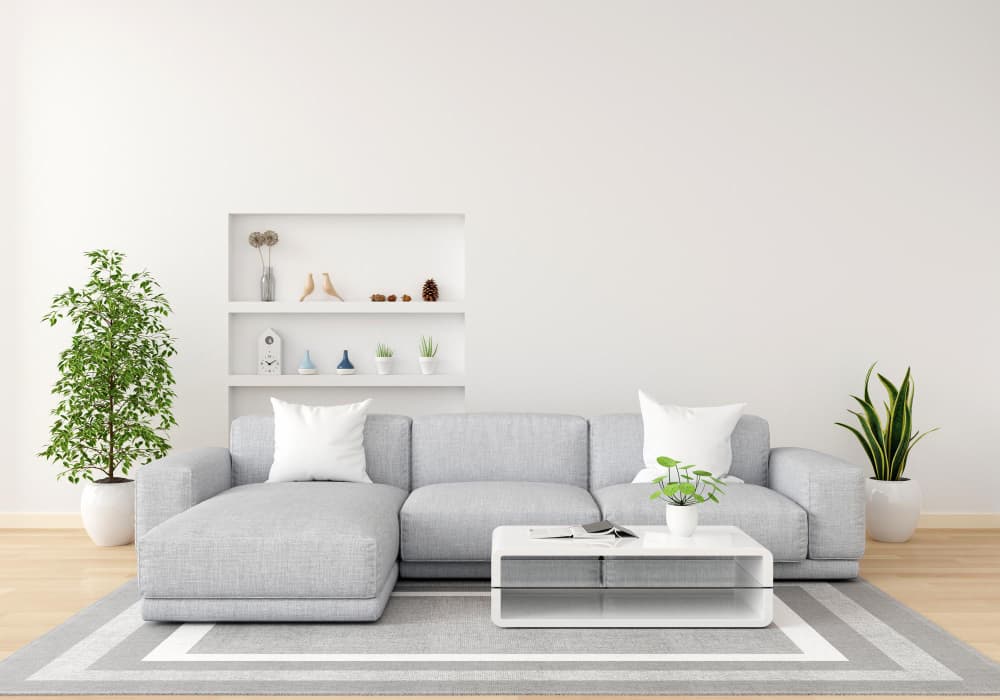 Neutral living room with soft sofa and home decor
