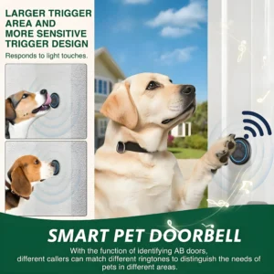 Dog using doorbell