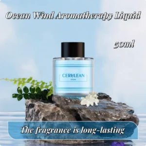 USB Rechargeable Air Freshener